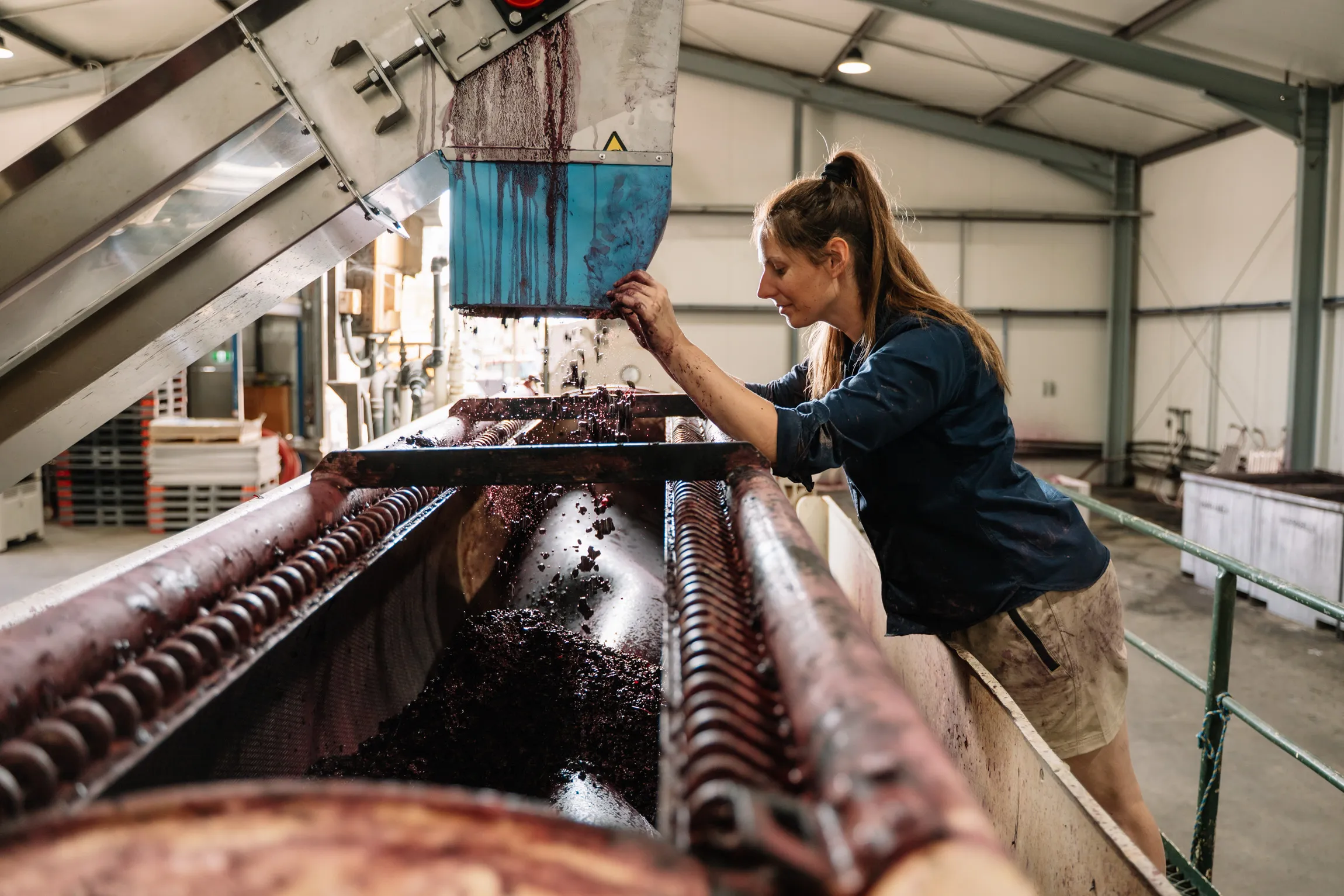 Amy Sutherland Smith working on wine